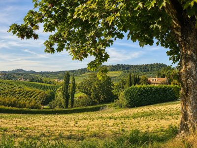 Italienische Weinreise